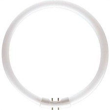 Philips lampadina circolina usato  Monterotondo