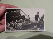 Photograph glasgow banana for sale  UK