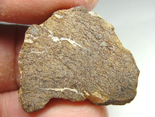Haggounia enstatite melt for sale  Hebron