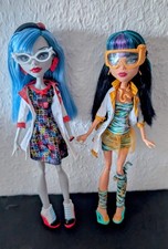 Monster high laborpartner gebraucht kaufen  Duisburg