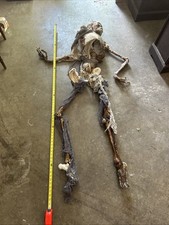 Life size skeleton for sale  Sidney