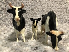 heifer calfs for sale heifer calfs for sale Canton