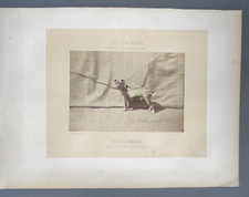 Photo centaure 1867 d'occasion  Expédié en Belgium