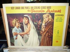 THE FEMALE ANIMAL, orig LC #8 [Hedy Lamarr, Jane Powell, Jan Sterling] - 1958 comprar usado  Enviando para Brazil