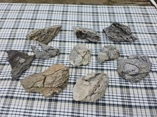 Stück natursteine sedimentges gebraucht kaufen  Ostbevern