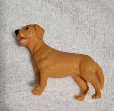Golden retreiver labrador for sale  Melbourne