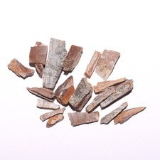 Usado, Bom fóssil de dinossauro T.rex explodido da formação Hell Creek Cretáceo comprar usado  Enviando para Brazil