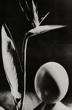 1930s man ray for sale  Tampa