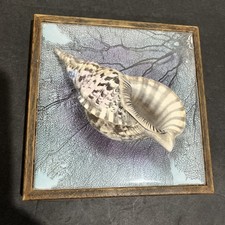 Seashell wall art for sale  Olympia