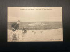 Old postcard noyelles d'occasion  Expédié en Belgium