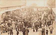 Shaftesbury cattle market. for sale  YORK