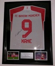 Harry kane autogramm gebraucht kaufen  Lichtenfels