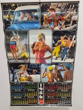 Calendario poster coca usato  Bovolone