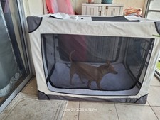 Portable soft dog for sale  Lake Worth