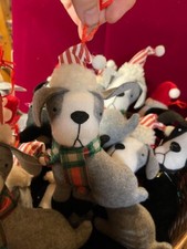 Count puppy dog for sale  Midlothian