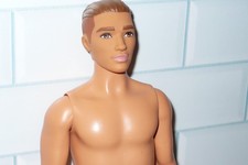 Mattel fashionistas barbie for sale  Mount Orab