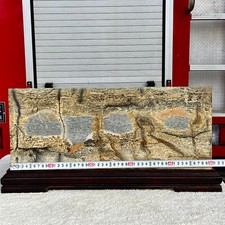 Libbre bellissimo quadro usato  Spedire a Italy