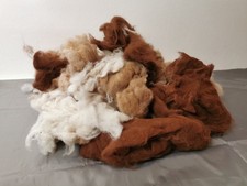 Rohwolle alpaka alpakawolle gebraucht kaufen  Dresden