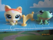 Petshop duo chat d'occasion  Bailleul