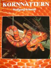 Kornnattern natur tier gebraucht kaufen  Krefeld
