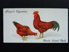 .38 rhode island for sale  UK