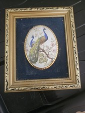 Countess fine bone for sale  CRANLEIGH