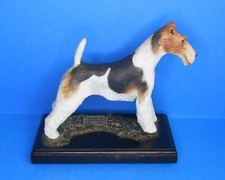 Albany airdale terrier for sale  NEWCASTLE UPON TYNE