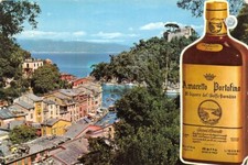 Cartolina portofino pubblicita usato  Milano