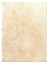 Pergament blatt echte gebraucht kaufen  Glauburg