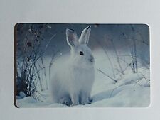 Arktische tierwelt schneeschuh gebraucht kaufen  Teltow