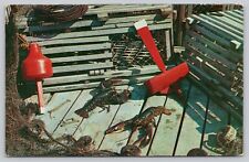 Postcard live lobsters for sale  Norman