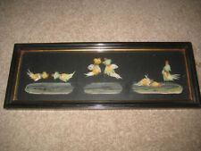 Antique cock fighting for sale  ASHBOURNE