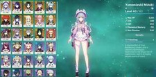 AR57 [UE] Mizuki Raiden Xiao Lyney Eula Yelan +7 Heróis 4 Armas comprar usado  Enviando para Brazil