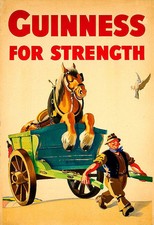 Alcohol guinness strength for sale  UK
