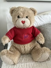 Large teddy bear for sale  DURHAM