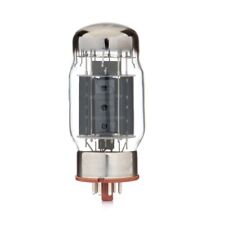 Svetlana kt88 logo usato Svetlana kt88 logo usato  Folignano