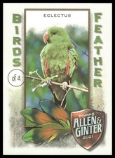 2021 topps allen for sale  Zeeland