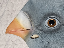 Halloween costume pigeon for sale  Highland Lakes