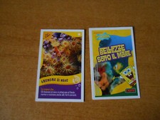 Figurina card spongebob usato  Torino
