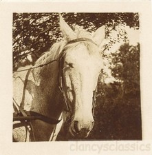 1910 working white for sale  Eugene