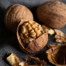 Seeds english walnut for sale  Saint Louisville