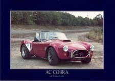 Catalogue brochure cobra d'occasion  Palaiseau