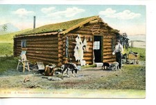 Bachelor sod house for sale  Pinetop