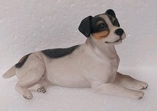 Leonardo collection dog for sale  SCUNTHORPE