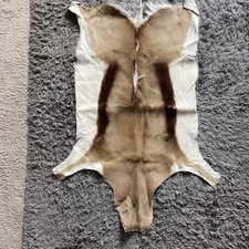 African springbok hide for sale  NEWPORT
