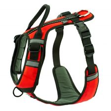 Sali trek harness gebraucht kaufen  Gera