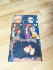 Star album dead gebraucht kaufen  Werl