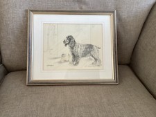 Painting cocker spaniel for sale  STIRLING