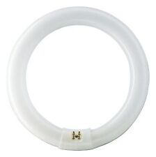Circolina neon 220v usato  Roma