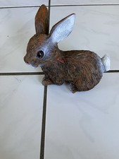 Hase gebraucht kaufen  Reinbek